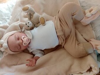 Reborn Valentina