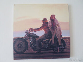 Obraz na plátně reprodukce Brent Lynch