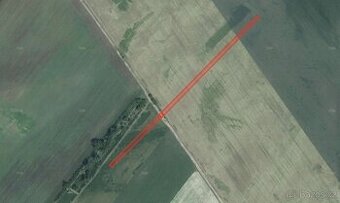 Zemědělská půda, prodej, Přísnotice, Brno-venkov