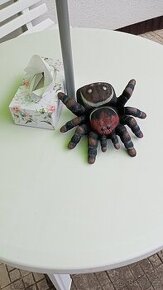 Asi pro dospělé,  než děti