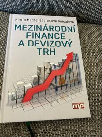 Mezinárodní finance a devizovy trh - Mandel Durčáková