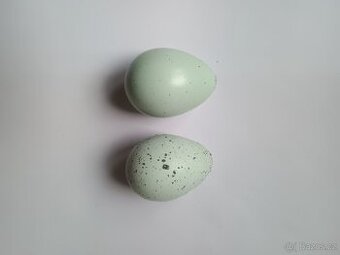 Násadová vajíčka, křepelka celadon