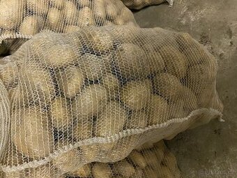 Brambory konzumní Adéla k uskladnění