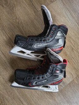 Brankářské brusle