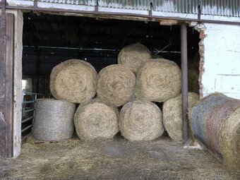Prodám seno BIO