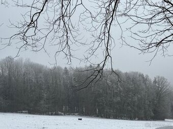 Prodej lesních pozemků k.ú. Janské Údolí-Kovářov