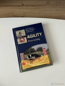 Agility - první krůčky