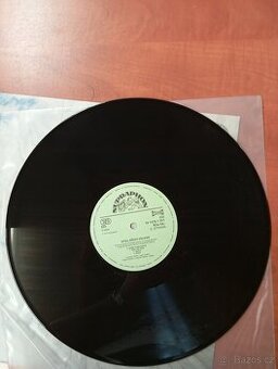 Stůj břízo zelená J.Hutka