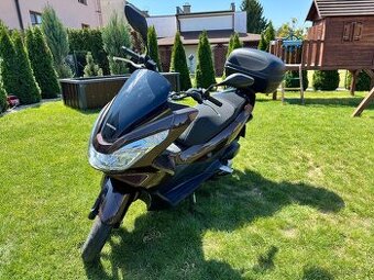 Honda PCX 125 16.6.2014