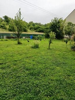 Vynesené slepice