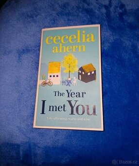 The Year I met You
