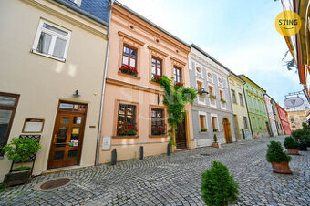 Prodej nadstandartního domu s 2 byty v centru města , 132959