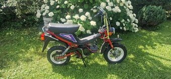 Babetta Stella 134