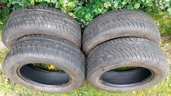 205/60 r15 zimní