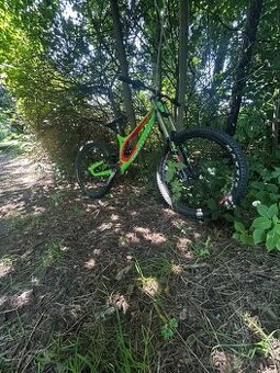 Specialized demo 8