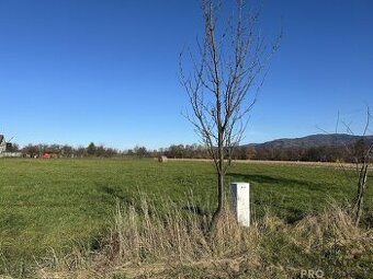 Stavební pozemek 3207m2, Návsí