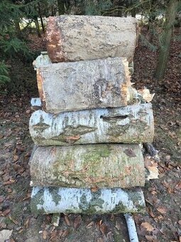 dřevo bříza na topení