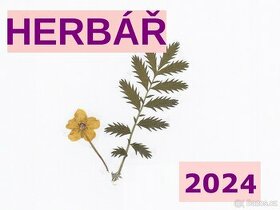 Herbář - čerstvě vylisované rostliny z roku 2024