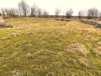 Pronájem pozemku 8.000m2 pro koně atd., 2.000 Kč měsíčně. - 1