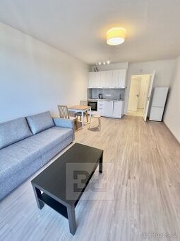 Pronájem bytu 1+kk, 33 m2 s garážovým stáním v ceně