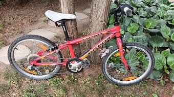 Kolo Author Cosmic 20"