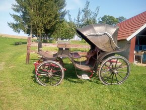 kočar Viktoria - 1