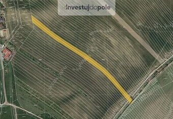 Prodej zemědělské půdy v k.ú. Horní Bojanovice - 1
