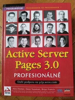 ASP 3.0 profesionálně.