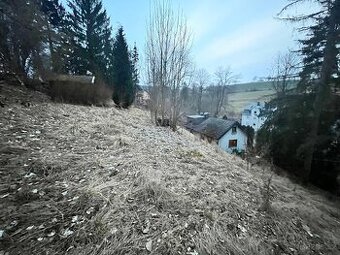 Německá doga - nabízíme domov :)