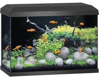Akvarium