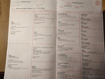 Německý ovčák fenka s PP