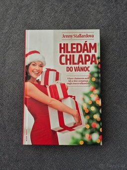 Hledám chlapa do Vánoc