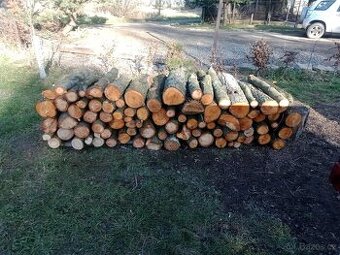 Prodám palivové dřevo olši