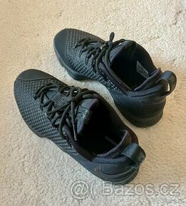 Nike Lebron XIV Low vel. EUR 42