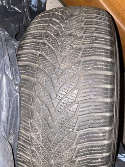 Zimní pneu 205/50/R17 Nexen