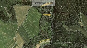 Prodej lesa 4 290 m², Letovice - Slatinka