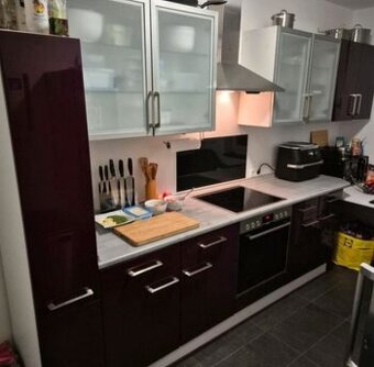 Moderní kuchyně Ikea s vestavěnými spotřebiči,6308