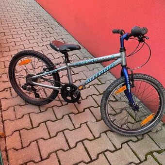 Author Cosmic vel.20