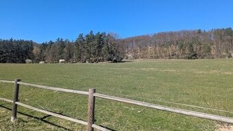 Dočasné pastevní ustájení v Českém ráji na vyjížďky