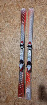 Sjezdové lyže Sporten