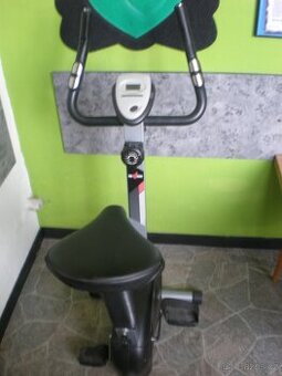 ROTOPED MAGNETIC BIKE