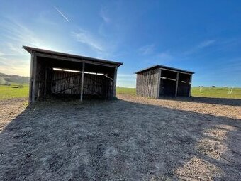 Pastevní ustájení