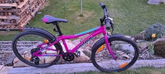 Author Ultima 24" - TOP STAV