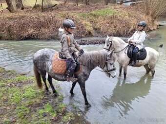 Pony klisna kat. A