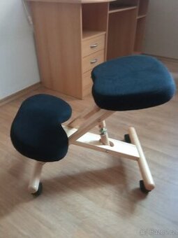 Prodám rehabilitační židli