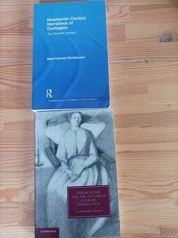 Viktoriánská literatura