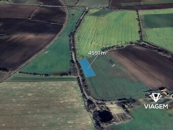 Pole 4 591 m², Podíl 42 % o výměře 1 913 m²