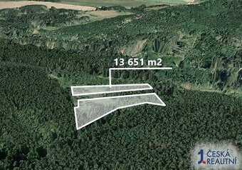 Les 13 651 m²