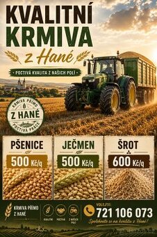 Pšenice ječmen