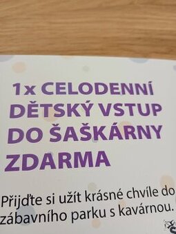 Šaškárna - celodenní vstupenka